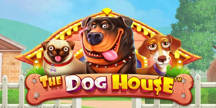 The Dog House: Keseruan Anjing dengan Bonus Menggoda